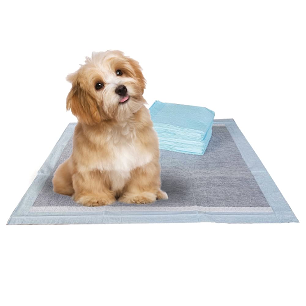 BV Puppy Pads Leak-Proof 100 Count 22"x 22" | Pee Pads for Dogs Quick Absorb 6-Layer- Dog Pee Pads- Dog Pads 100 Pack- Potty Pads for Dogs- Puppy Pee Pads, Pee Pad Training Pads for Dogs, Pet Pee Pads