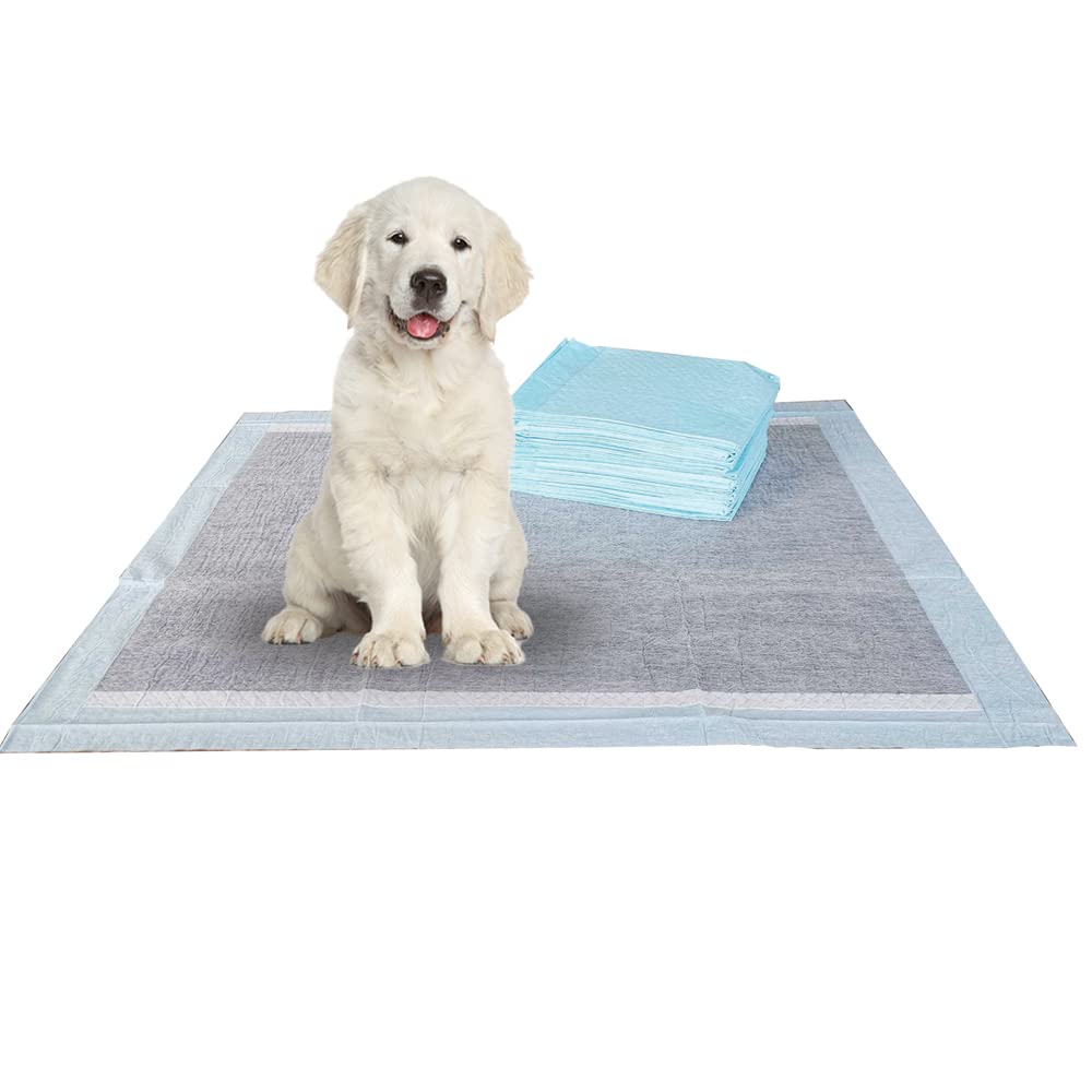 BV Puppy Pads Leak-Proof 100 Count 22"x 22" | Pee Pads for Dogs Quick Absorb 6-Layer- Dog Pee Pads- Dog Pads 100 Pack- Potty Pads for Dogs- Puppy Pee Pads, Pee Pad Training Pads for Dogs, Pet Pee Pads