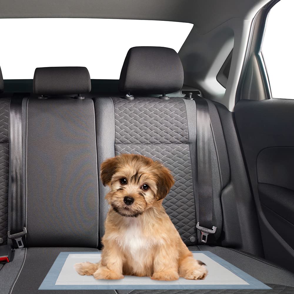 BV Puppy Pads Leak-Proof 100 Count 22"x 22" | Pee Pads for Dogs Quick Absorb 6-Layer- Dog Pee Pads- Dog Pads 100 Pack- Potty Pads for Dogs- Puppy Pee Pads, Pee Pad Training Pads for Dogs, Pet Pee Pads
